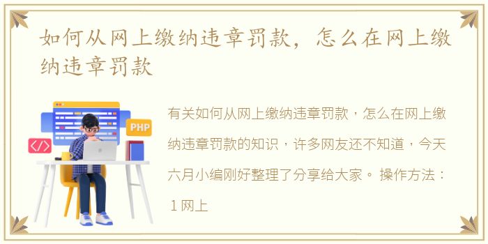 如何从网上缴纳违章罚款，怎么在网上缴纳违章罚款