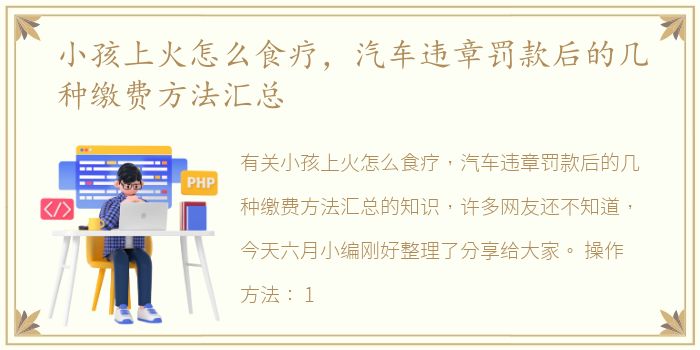 小孩上火怎么食疗，汽车违章罚款后的几种缴费方法汇总