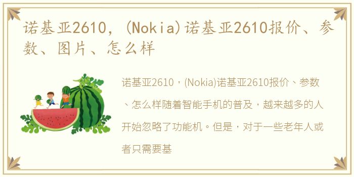 诺基亚2610，(Nokia)诺基亚2610报价、参数、图片、怎么样