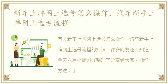 新车上牌网上选号怎么操作，汽车新手上牌网上选号流程