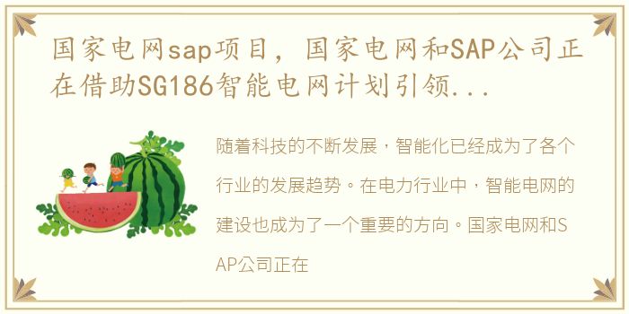 国家电网sap项目，国家电网和SAP公司正在借助SG186智能电网计划引领电力行业