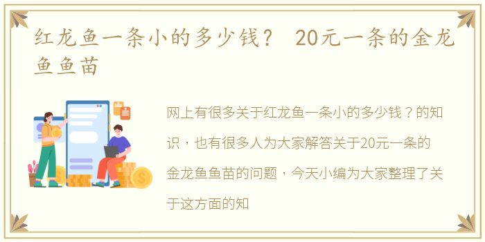 红龙鱼一条小的多少钱？ 20元一条的金龙鱼鱼苗