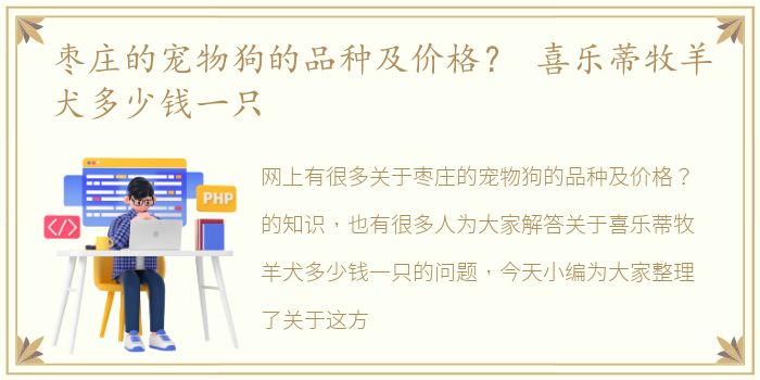 枣庄的宠物狗的品种及价格？ 喜乐蒂牧羊犬多少钱一只