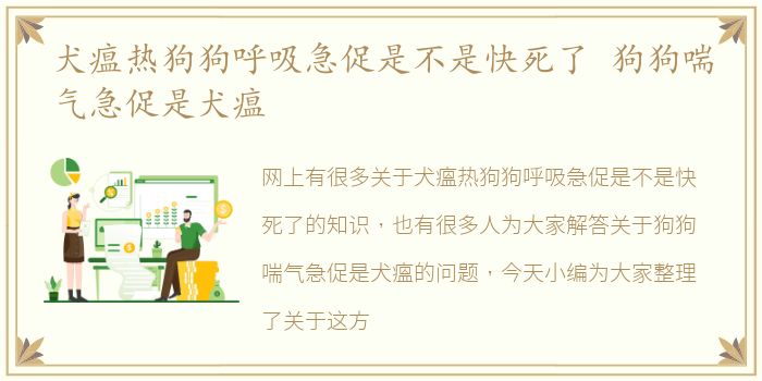 犬瘟热狗狗呼吸急促是不是快死了 狗狗喘气急促是犬瘟