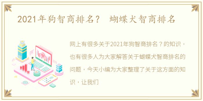 2021年狗智商排名？ 蝴蝶犬智商排名