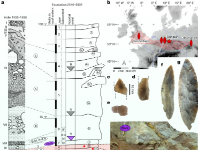 科学家称智人于45000年前到达北欧