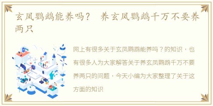 玄凤鹦鹉能养吗？ 养玄凤鹦鹉千万不要养两只