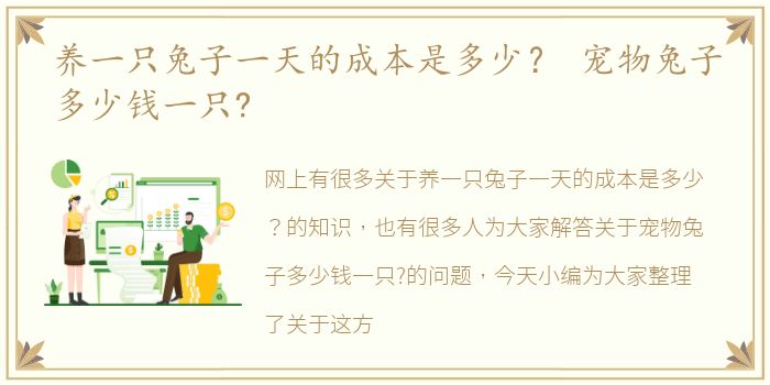 养一只兔子一天的成本是多少？ 宠物兔子多少钱一只?