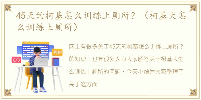 45天的柯基怎么训练上厕所？（柯基犬怎么训练上厕所）