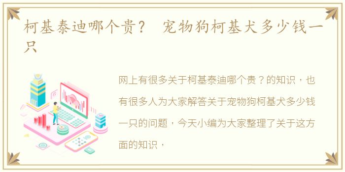 柯基泰迪哪个贵？ 宠物狗柯基犬多少钱一只