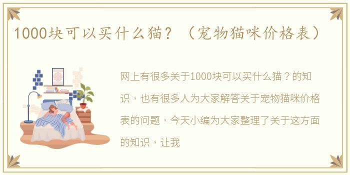 1000块可以买什么猫？（宠物猫咪价格表）