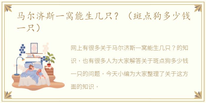 马尔济斯一窝能生几只？（斑点狗多少钱一只）