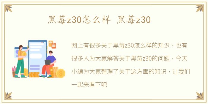 黑莓z30怎么样 黑莓z30