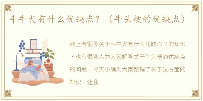 斗牛犬有什么优缺点？（牛头梗的优缺点）