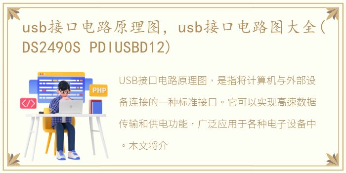 usb接口电路原理图，usb接口电路图大全(DS2490S PDIUSBD12)