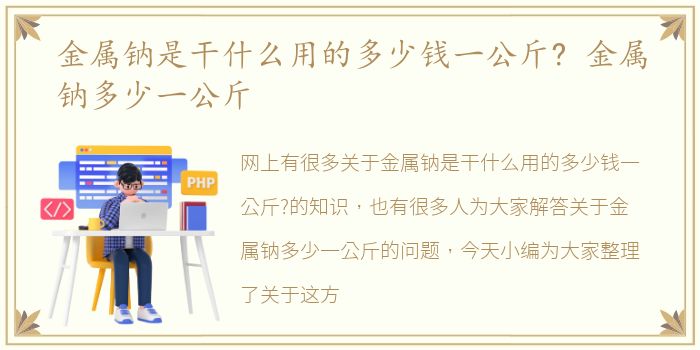 金属钠是干什么用的多少钱一公斤? 金属钠多少一公斤