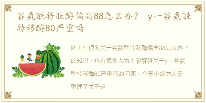 谷氨酰转肽酶偏高88怎么办？ y一谷氨酰转移酶80严重吗