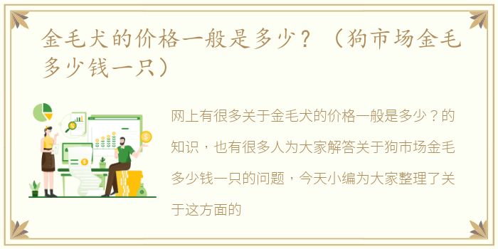 金毛犬的价格一般是多少？（狗市场金毛多少钱一只）