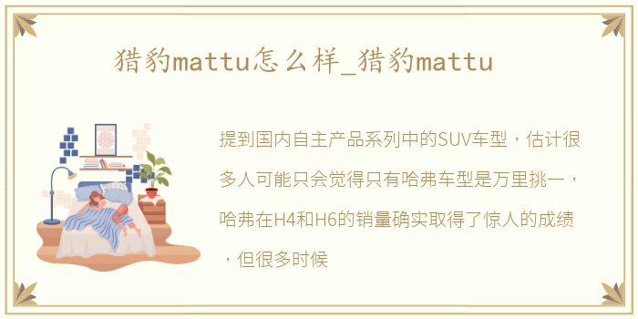 猎豹mattu怎么样_猎豹mattu