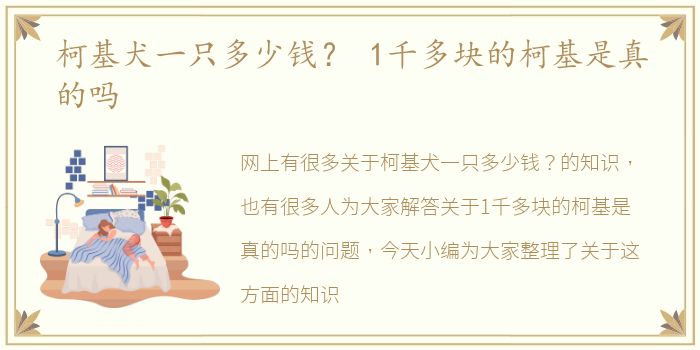 柯基犬一只多少钱？ 1千多块的柯基是真的吗