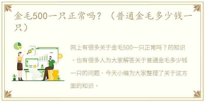 金毛500一只正常吗？（普通金毛多少钱一只）