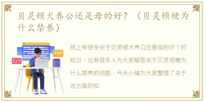 贝灵顿犬养公还是母的好？（贝灵顿梗为什么禁养）