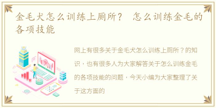 金毛犬怎么训练上厕所？ 怎么训练金毛的各项技能