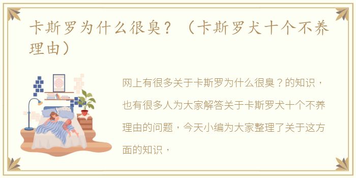 卡斯罗为什么很臭？（卡斯罗犬十个不养理由）