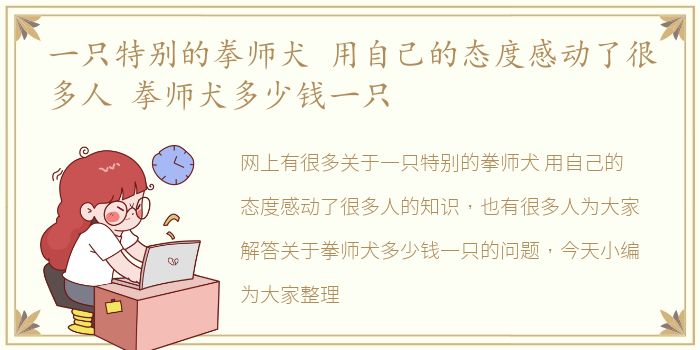 一只特别的拳师犬 用自己的态度感动了很多人 拳师犬多少钱一只