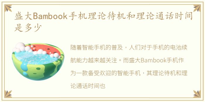 盛大Bambook手机理论待机和理论通话时间是多少