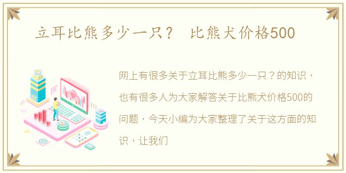 立耳比熊多少一只？ 比熊犬价格500