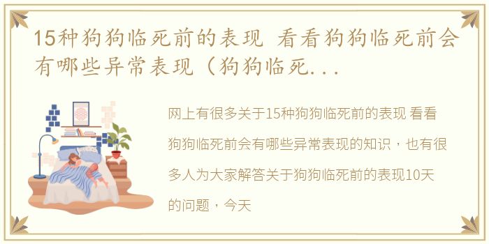 15种狗狗临死前的表现 看看狗狗临死前会有哪些异常表现（狗狗临死前的表现10天）