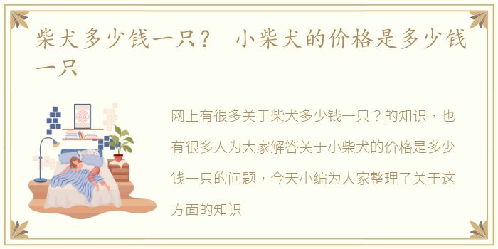 柴犬多少钱一只？ 小柴犬的价格是多少钱一只