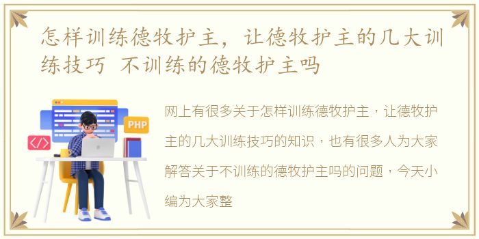 怎样训练德牧护主，让德牧护主的几大训练技巧 不训练的德牧护主吗