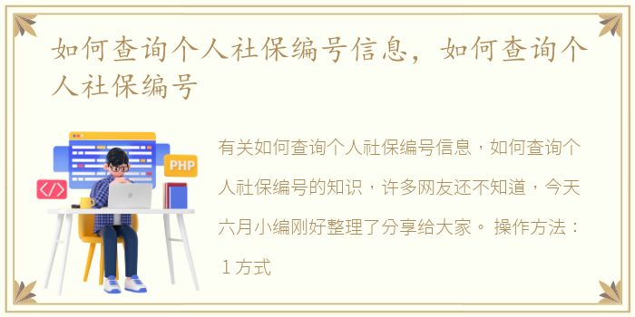 如何查询个人社保编号信息，如何查询个人社保编号