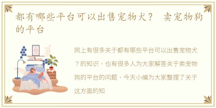 都有哪些平台可以出售宠物犬？ 卖宠物狗的平台