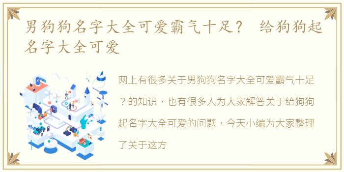 男狗狗名字大全可爱霸气十足？ 给狗狗起名字大全可爱