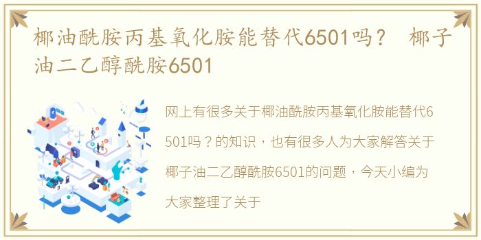 椰油酰胺丙基氧化胺能替代6501吗？ 椰子油二乙醇酰胺6501