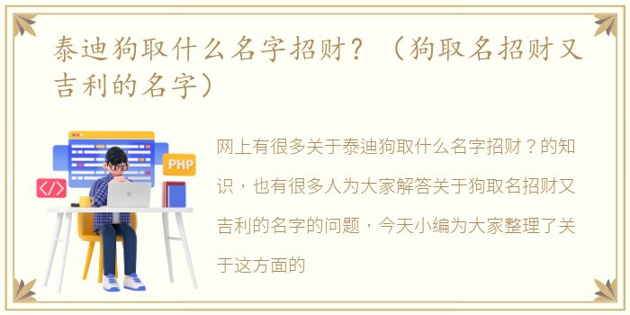 泰迪狗取什么名字招财？（狗取名招财又吉利的名字）