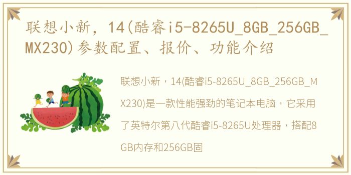 联想小新，14(酷睿i5-8265U_8GB_256GB_MX230)参数配置、报价、功能介绍