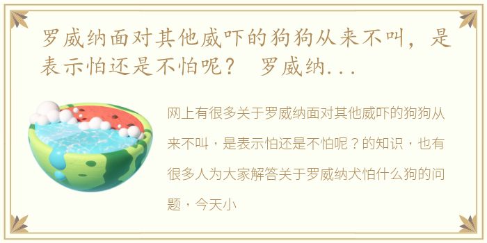 罗威纳面对其他威吓的狗狗从来不叫，是表示怕还是不怕呢？ 罗威纳犬怕什么狗