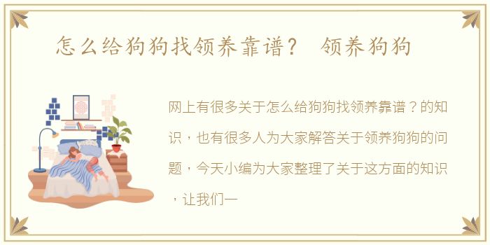 怎么给狗狗找领养靠谱？ 领养狗狗