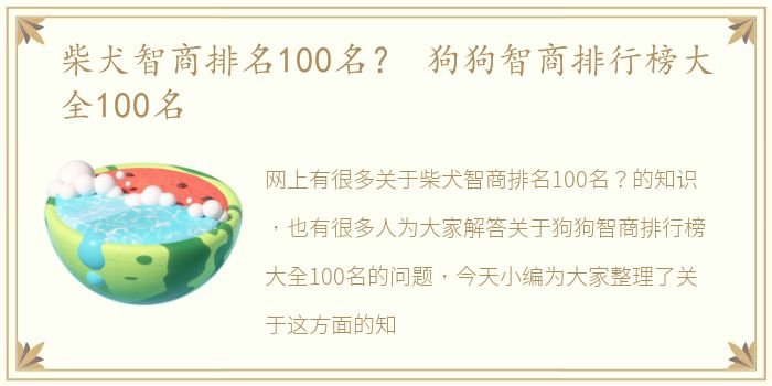 柴犬智商排名100名？ 狗狗智商排行榜大全100名