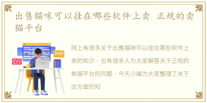 出售猫咪可以挂在哪些软件上卖 正规的卖猫平台