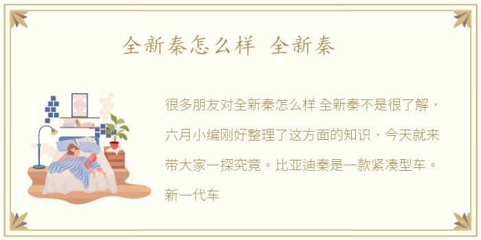 全新秦怎么样 全新秦