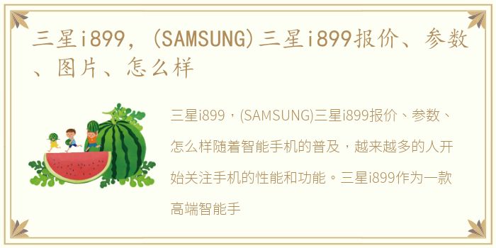 三星i899，(SAMSUNG)三星i899报价、参数、图片、怎么样