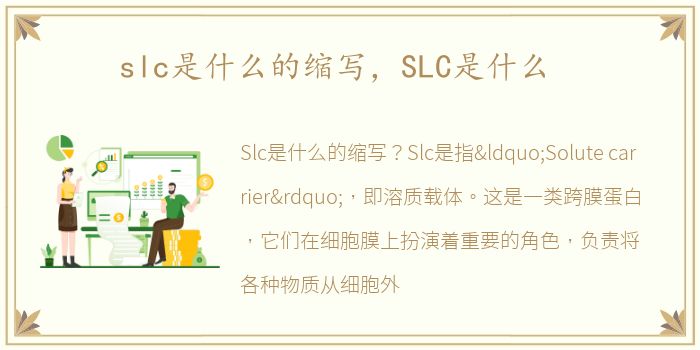 slc是什么的缩写，SLC是什么