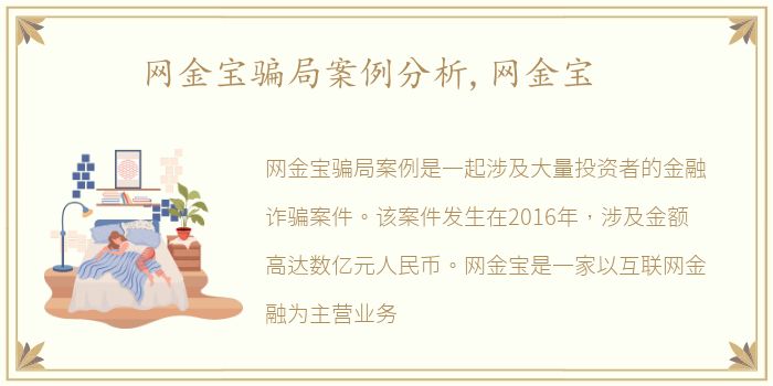 网金宝骗局案例分析,网金宝