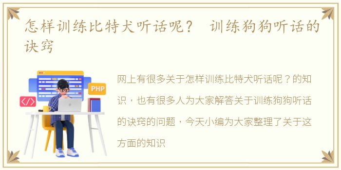 怎样训练比特犬听话呢？ 训练狗狗听话的诀窍