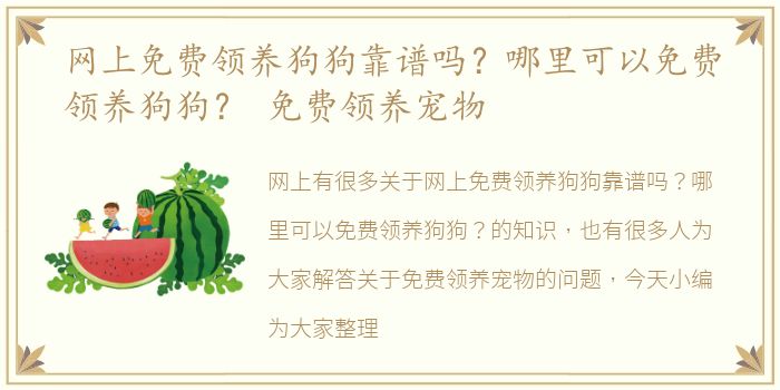 网上免费领养狗狗靠谱吗？哪里可以免费领养狗狗？ 免费领养宠物